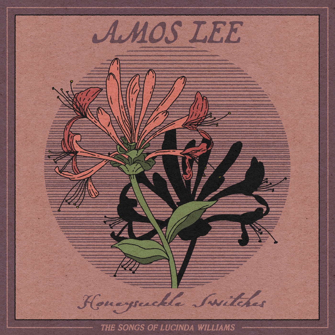 Honeysuckle Switches: The Songs of Lucinda Williams by Amos Lee
