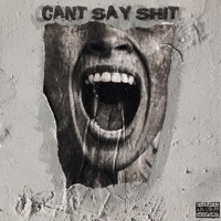 CAN'T SAY SHIT (feat. Scar$ & ZANDV) - Single - Nossimistic