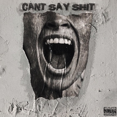CAN'T SAY SHIT (feat. Scar$ & ZANDV) - Single