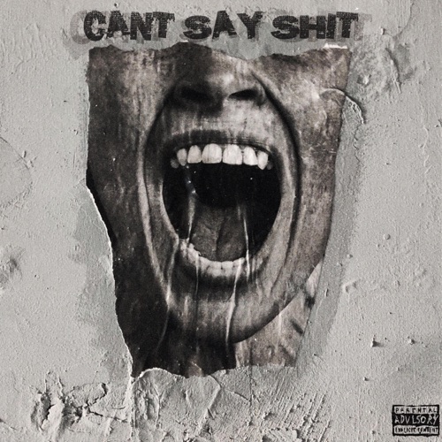 CAN'T SAY SHIT (feat. Scar$ & ZANDV) - Single