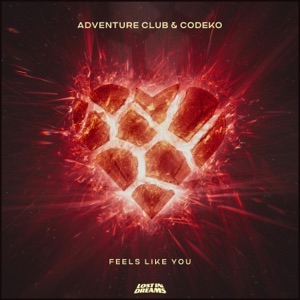 Feels Like You - Single