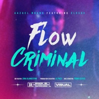 Flow Criminal (feat. Eleese) - Single - Aazael Ngang