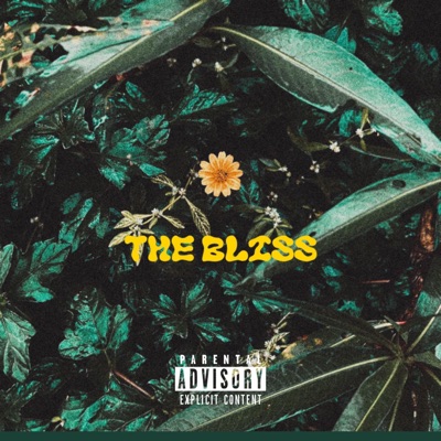 The BLiSS