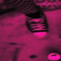 Nobody Cares - Single - nxrthstar