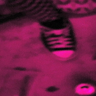 Nobody Cares - Single