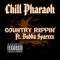 Country Reppin' (feat. Bubba Sparxxx) - Chill Pharaoh lyrics