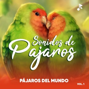Pájaros del Mundo (Vol.1) - EP