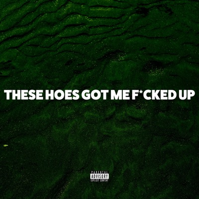 These Hoes Got Me Fucked Up - EP