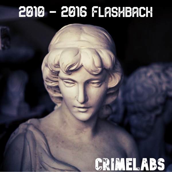 Flashback (A Collection of Songs From 2010 Until 2016)