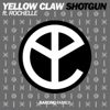 Shotgun (feat. Rochelle) cover art