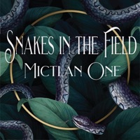 Snakes In the Field - Single - Mictlan One