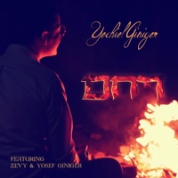 Rachem (feat. Zevy Giniger & Yosef Giniger) - Single - Yechiel Giniger