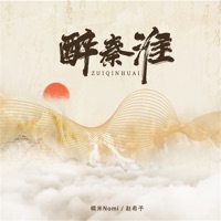 醉秦淮 - Single - 糯米Nomi & 赵希予