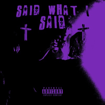 Said What I Said - Single