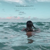 Vulnerability artwork