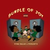 Bundle of Joy (feat. Pholop's) [Radio Edit] [Radio Edit] - Single