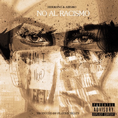 No Al Racismo - Single