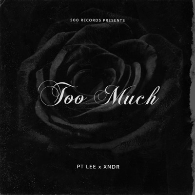 Too Much (feat. XNDR) - Single