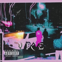 VICE (feat. Unknown Muerto) - Single - Sindabucket