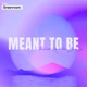 Meant To Be feat EMMA LX Single