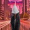 Slow Mow - Vinicius da Silva Tamoyo lyrics