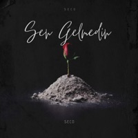 Sen Gelmedin - Single - seco