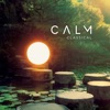 Laurent Tanguy A Deep Glance (From "Paula") Calm Classical