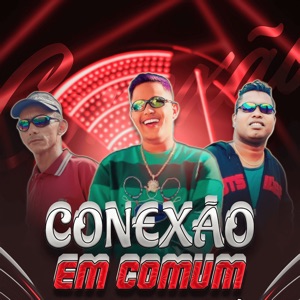 Conexão Em Comum