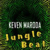 Jungle Beat (Valle Vidal Radio Mix) cover art