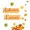 Autumn Leaves (feat. EMIKA) - Kath Bee & Doug Stenhouse lyrics