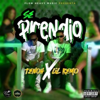 Se Prendió - Single - Tenoh & Lil Remo