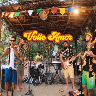 Volte Amor - Single