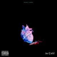So Cold (Radio Edit) - Single - Quincy Jamal