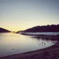 The Luckiest