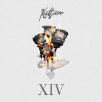 XIV - Single - kulturr