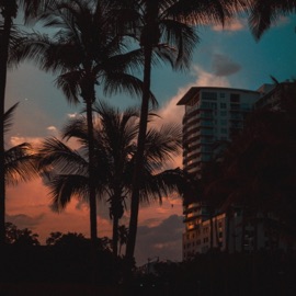 South Beach Thymes