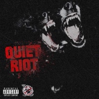 Qui3t Riot - Single - Ricky Lagoon