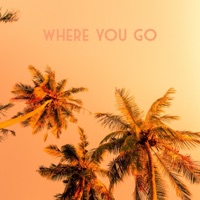 WHERE YOU GO - Single - DMN Musik