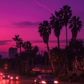 Whats the Point Hylem