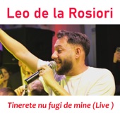 Tinerete nu fugi de mine (Live) artwork