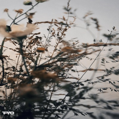 Dayz - Single