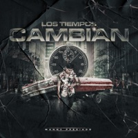 Los Tiempos Cambian - Single - Manny Preciado
