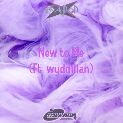 New to Me (feat. wyddillan) - Single
