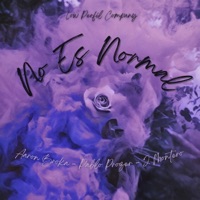 No es normal (feat. Aaron Broka & J Montero) - Single - Pablo Prozer