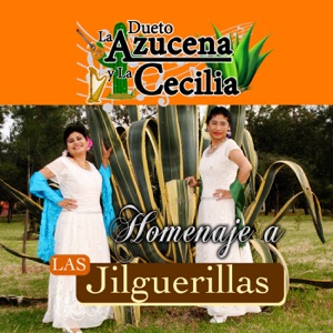 Homenaje A Las Jilguerillas (Mariachi)