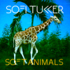 Drinkee - Sofi Tukker