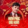 Hạnh Phúc Đầu Xuân - Single