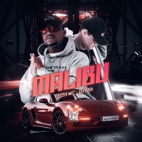 Malibu - Single - FFeeh MC & DJ BVA