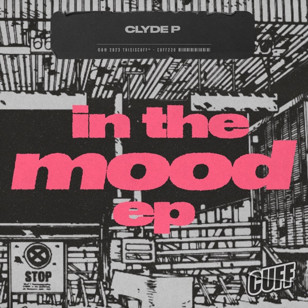 In the Mood - Single