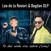 Te duc unde vrei iubire (Live) artwork